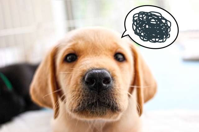 ナチュラルマーククリームの評判が知りたい!